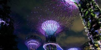 10 places that cannot miss your Singapore honeymoon itinerary